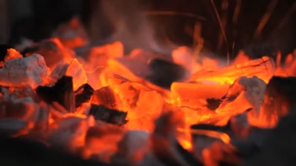 Queimando churrasco de madeira — Vídeo de Stock