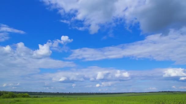 Sky Clouds snel lopen — Stockvideo