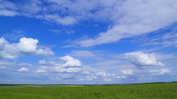Gökyüzü bulutlar hızlı koşmak — Stok video