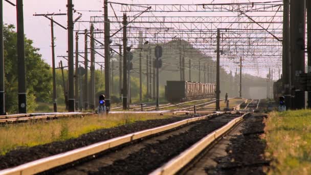 Cargo pociąg ciągnie — Wideo stockowe