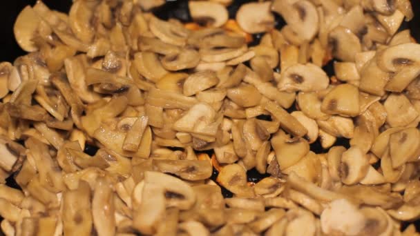 Fry Mushrooms in a Frying Pan — Stock Video