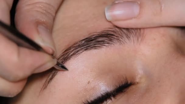 Beautician Eyebrow Care — Stock Video