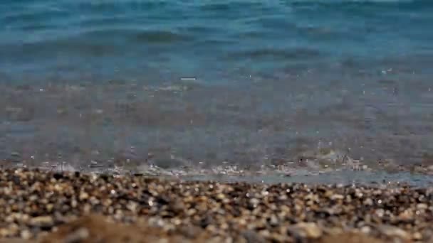 Csendes nyári tengeri — Stock videók