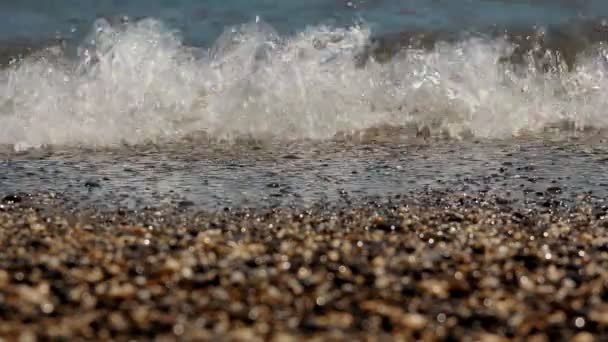 Влітку Тихе море — стокове відео