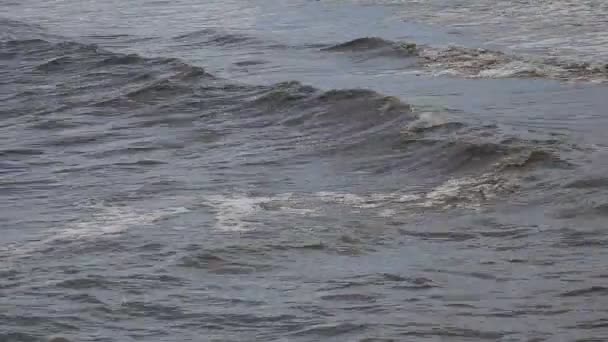 Spiaggia di mare di pietra — Video Stock