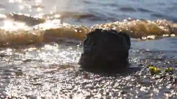 Água do mar de pedra — Vídeo de Stock