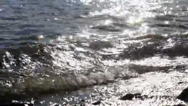 Le soleil brille dans l'eau de mer — Video