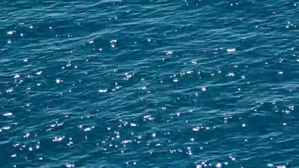 Rustige zomer zee — Stockvideo