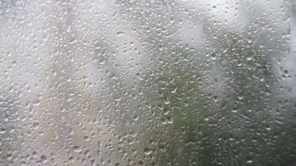 Regenwassertropfen fallen auf die Fensterscheibe — Stockvideo