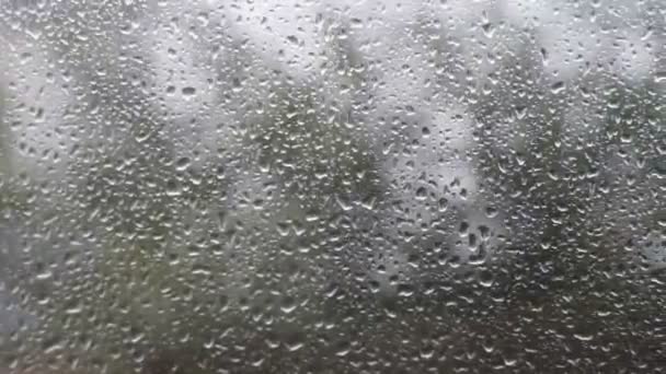 Gotas de agua de lluvia cayendo sobre el cristal de la ventana — Vídeo de stock