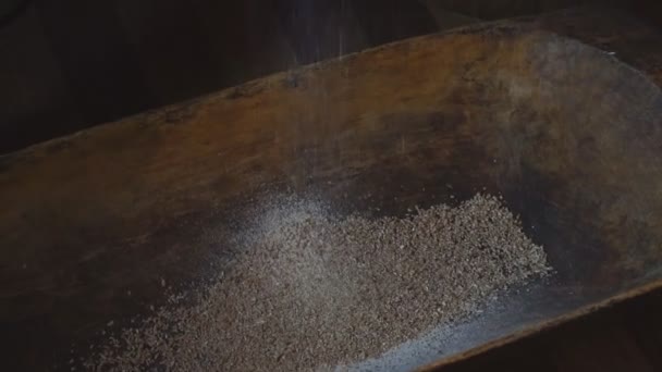 Die Alte Mühle Aus Quernstein Mit Getreide Der Mann Mahlt — Stockvideo