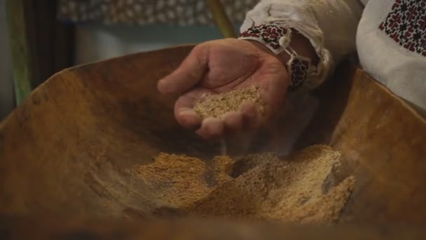 Les Mains Vieux Boulanger Prennent Farine Analysant Qualité Produit Préparé — Video