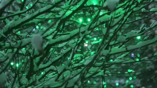 Alberi Innevati Notte Alberi Coperti Neve Notte Con Lampade Elettriche — Video Stock