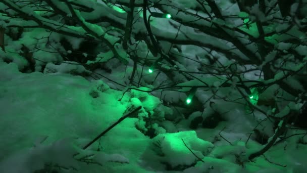 Arbres Couverts Neige Nuit Arbres Couverts Neige Nuit Avec Des — Video