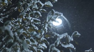 Kar gece ağaçları kapladı. Geceleri karla kaplı ağaçlar elektrik lambaları esiyor şehrin sokaklarında şenlikli bir yeni yıl havası yaratıyor.