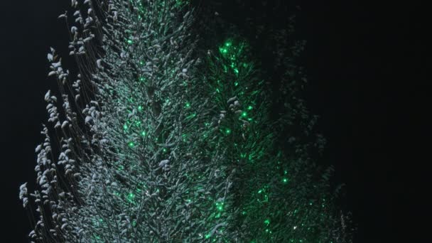 Arbres Couverts Neige Nuit Arbres Couverts Neige Nuit Avec Des — Video