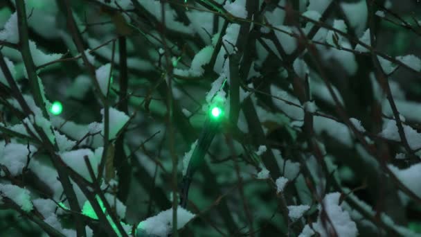 Ночью Деревья Покрыты Снегом Деревья Покрытые Снегом Ночью Электрическими Лампами — стоковое видео