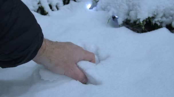 Hand Nimmt Nassen Schnee Winter Aus Nächster Nähe Auf Einem — Stockvideo