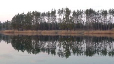 Yoğun bir ormanı olan bir nehir kıyısı. Sonbahar manzarası. Ağaçlar sakin bir nehrin yüzeyine yansıyor..