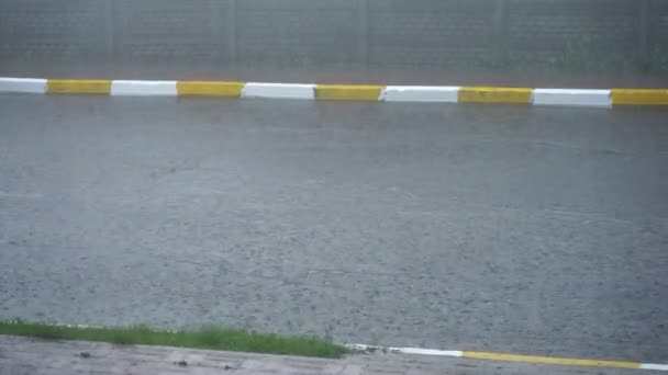 Lluvia Fuerte Afuera Grandes Gotas Lluvia Caen Carretera Durante Aguacero — Vídeos de Stock