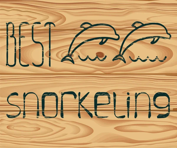 Logo mejor snorkeling — Vector de stock