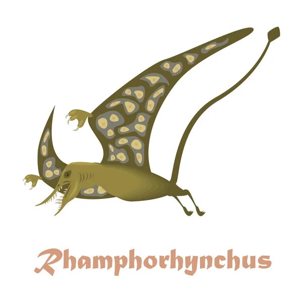 267 dinozor, Rhamphorhynchus — Stok Vektör