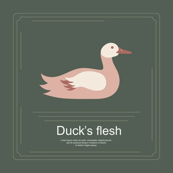 Logotipo de carne de pato — Archivo Imágenes Vectoriales