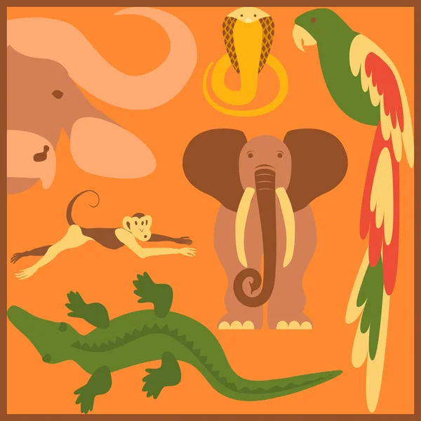 Vector Conjunto de animales africanos — Vector de stock