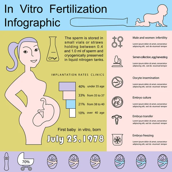 Infográfico de fertilização in vitro —  Vetores de Stock