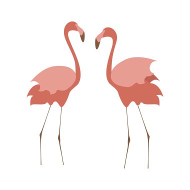Pembe flamingo çizimi