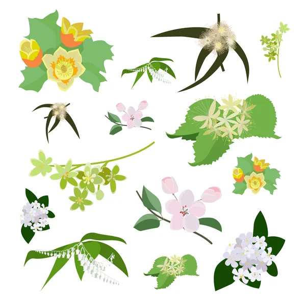 Набор диких цветов — стоковый вектор