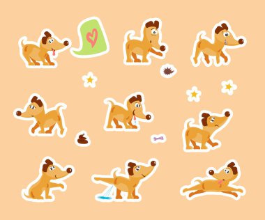 Günlük komik köpek sticker 'ları..