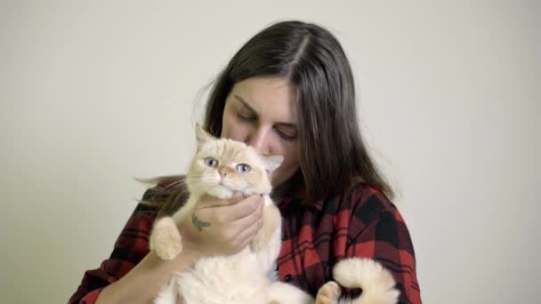 女性は彼女のラップ - 赤のポイントのシャム猫を気します。 — ストック動画