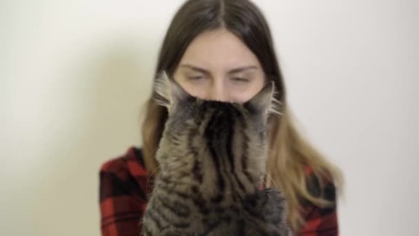 Женщина любит свою котенка - котенок смотреть на камеру и женщина смеется — стоковое видео