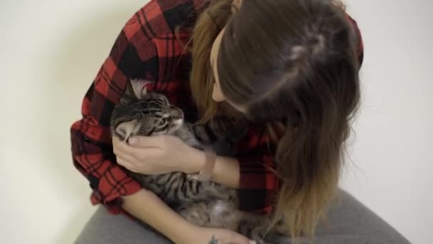 Fille aime son chaton sur le sol - Baisers - Soins - J'aime — Video