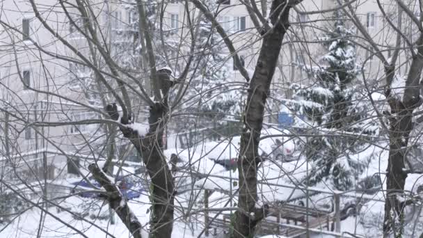 雪に覆われた街 - Apartmen 建物シーン — ストック動画