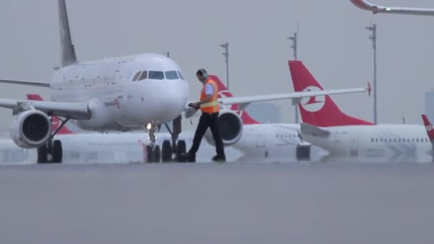 Istanbul Bosphore TURQUIE 25 juin 2010 - Transport de conteneurs — Video