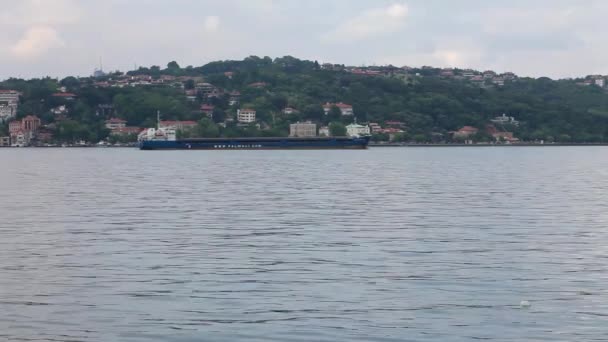 イスタンブールのボスポラス海峡のトルコ 2010 年 6 月 25 日 - コンテナー輸送 — ストック動画