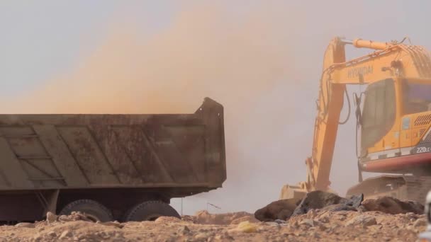 Madina - Arabia Saudita 8 diciembre 2014 - Excavator scoop loads a dump truck — Vídeo de stock