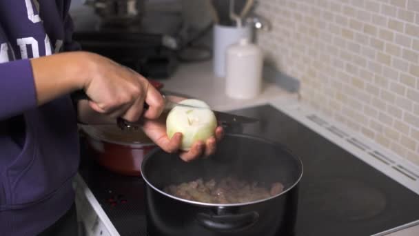 तळलेल्या पॅनमध्ये महिलेने तिच्या हातात एक कांदा कापला तळलेले मांस — स्टॉक व्हिडिओ