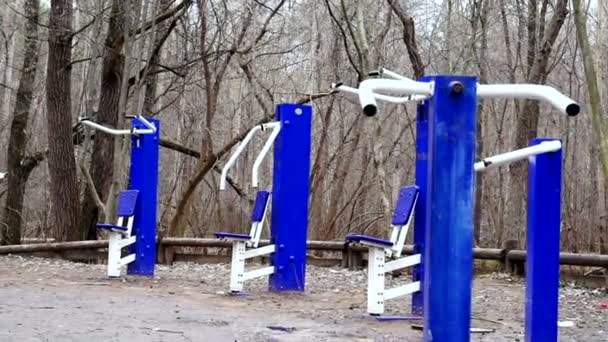 Naturaleza, un equipo de gimnasio de fitness solitario en el bosque, dolly shoot . — Vídeos de Stock