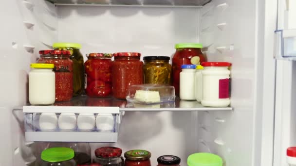 Kühlschrank, Kamera kippt auf und ab, Blick in Kühlschrank. — Stockvideo