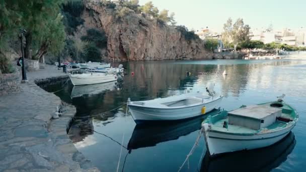 Barcos amarrados junto a la costa del lago . — Vídeos de Stock