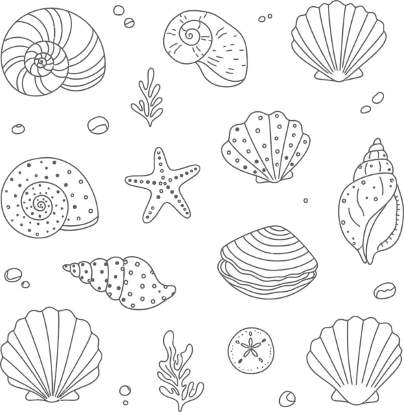Çeşitli deniz kabukları ve deniz yıldızı çizimleri koleksiyonu.