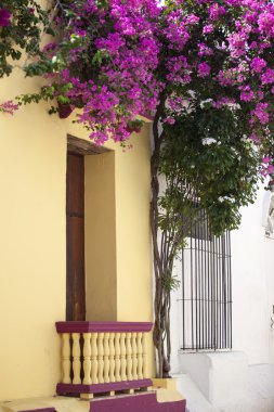 Cartagena de Indias balkon
