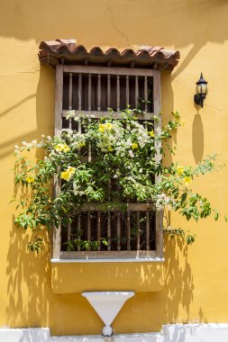 Cartagena de Indias Penceresi
