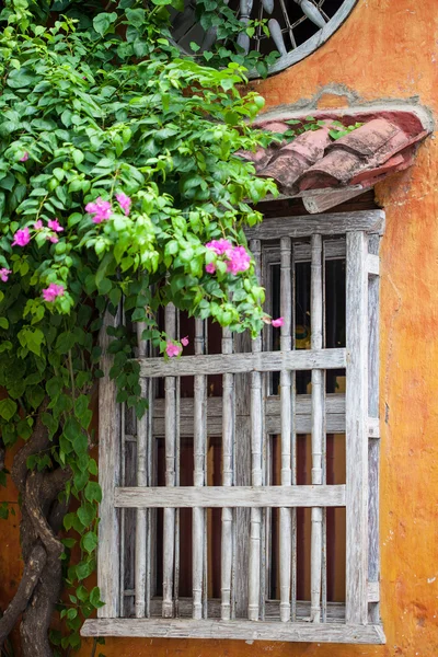 Cartagena de Indias fönster — Stockfoto