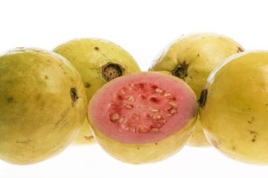 Tropikal meyve - Guava (Psidium guajava)