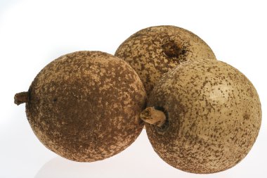 Tropik meyve - Mammee apple (Mammea americana)