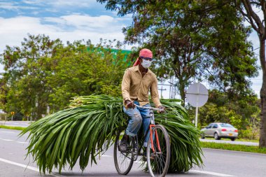 EL CERRITO, COLOMBIA - Ekim 2020: Kolombiya 'nın Valle del Cauca bölgesindeki El Cerrito yolunda bisikletinde yeşil yem taşıyan adam